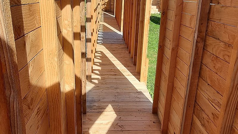 Zone 5 — couloir bois